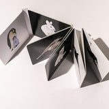 Baby's Black and White Contrast Book