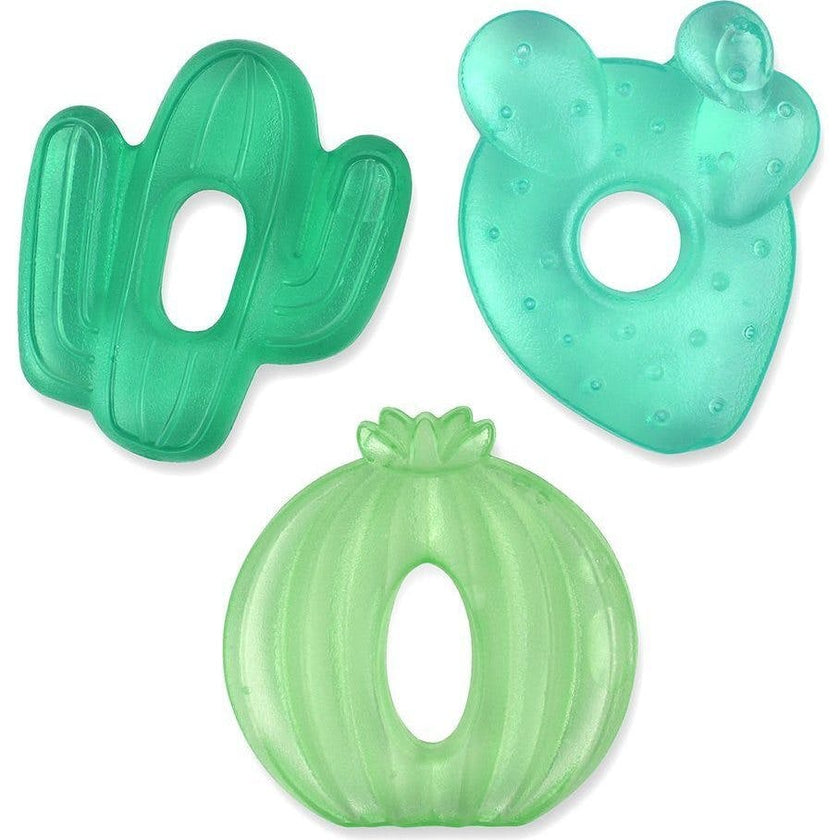 Cactus Teething Kit