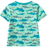 Boys Graphic Tee | Teal Sharks