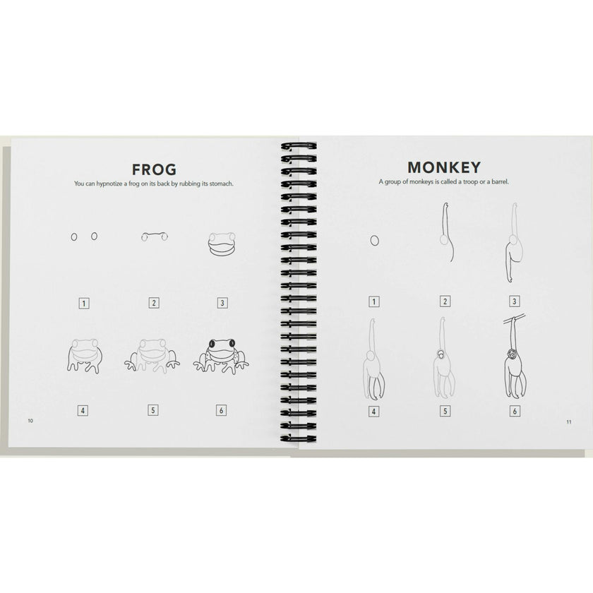 How to Draw All the Animals (Spiral)