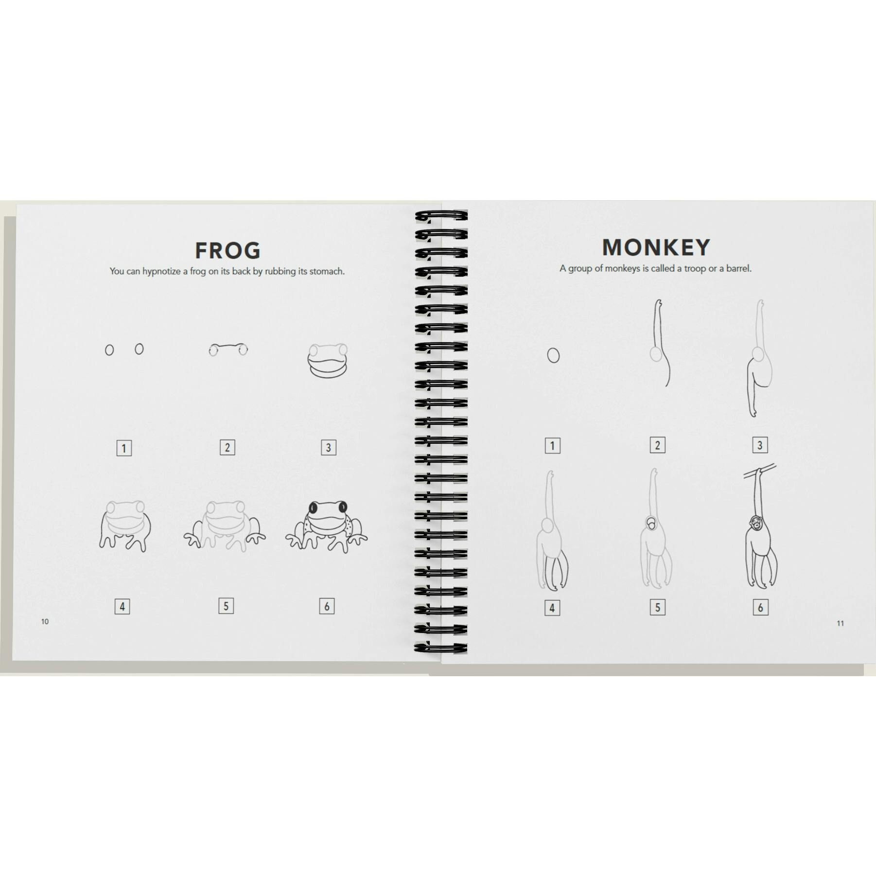 How to Draw All the Animals (Spiral)