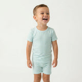 Bluegrass Picnic Short Sleeve & Shorts Bamboo Toddler Pajama Set
