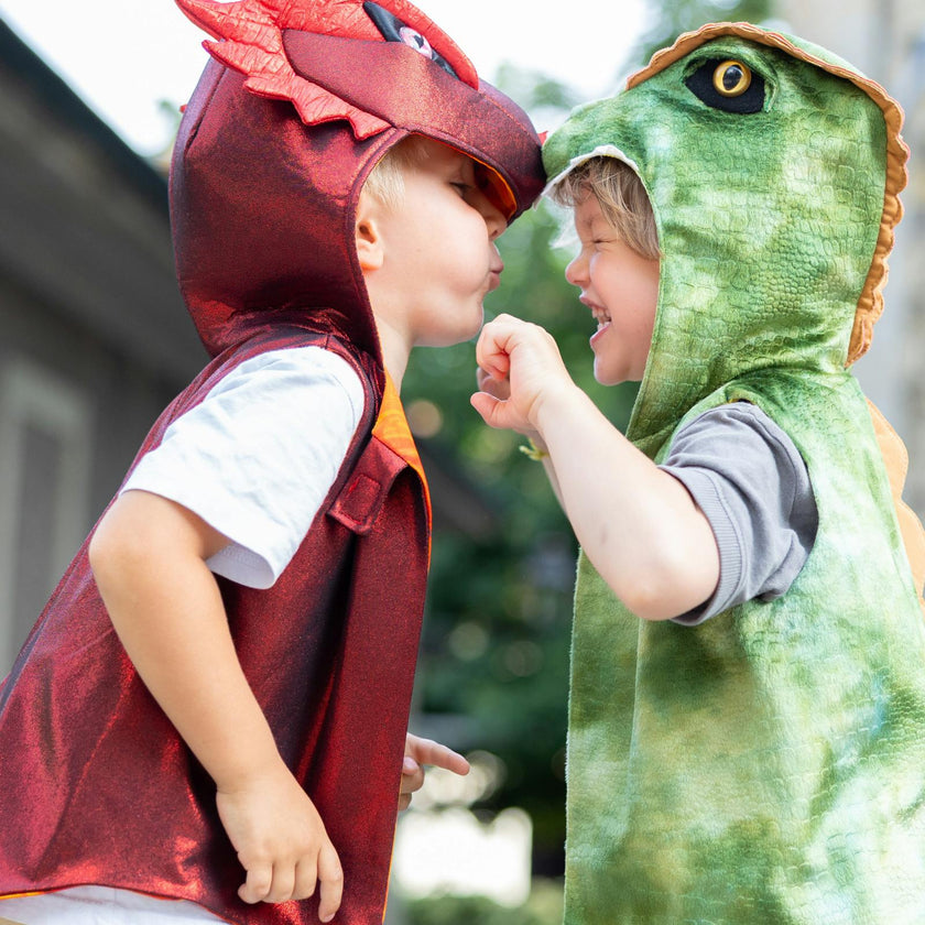 The All Day Everyday Dragon Vest