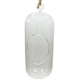 Glass Terrarium: Carefree Capsule - 2 Pack