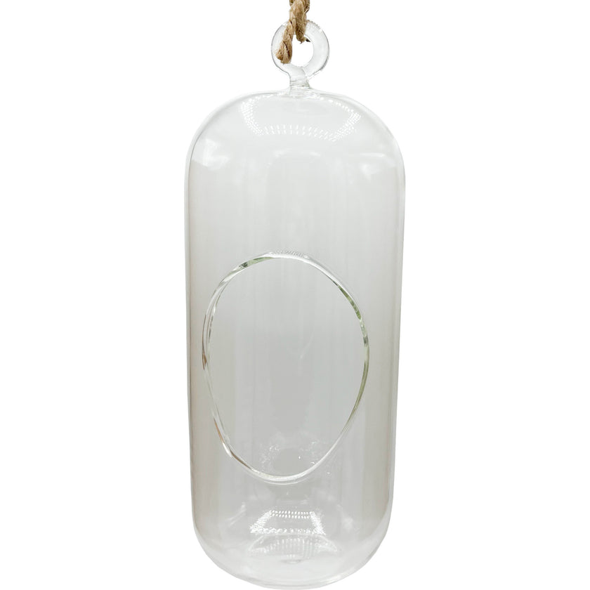 Glass Terrarium: Carefree Capsule - 2 Pack