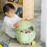 Handcrafted - Dinosaur Storage Basket Mint Green (Medium) - Rattan Wicker