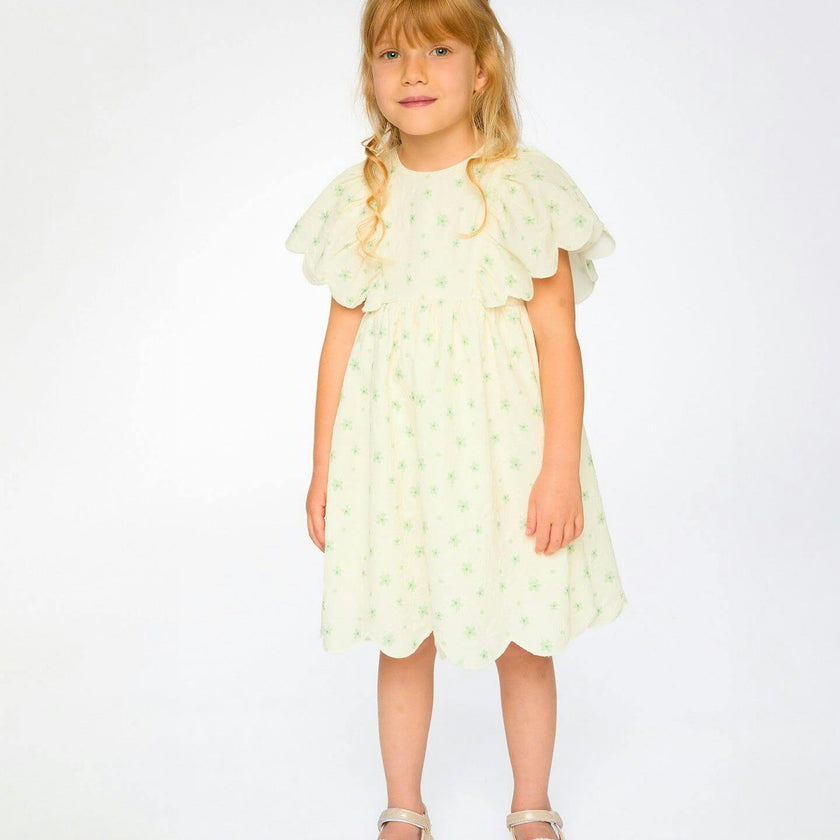 Jacquard Dress