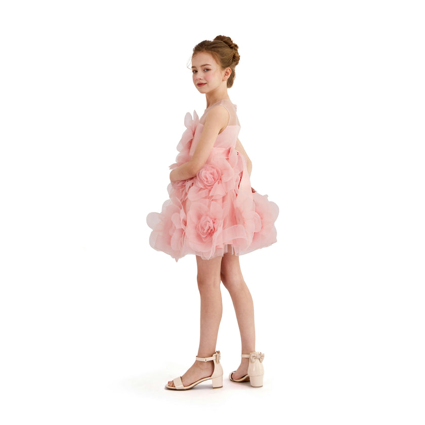 Rose Briellea Embellished Sleeveless Dress