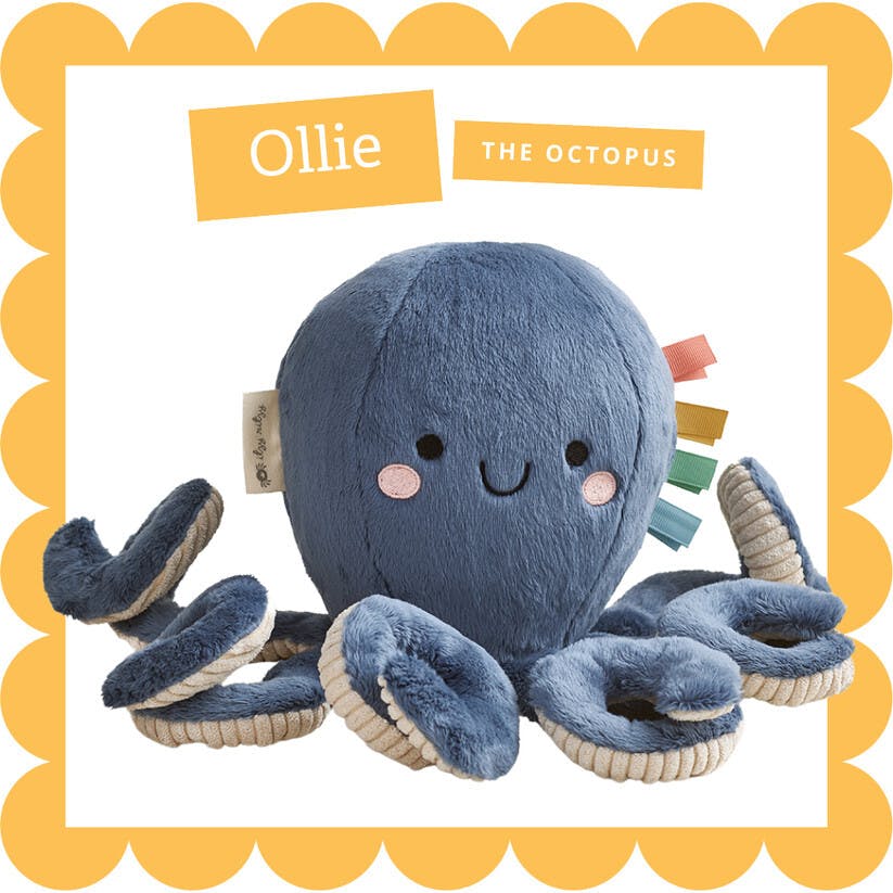 Sweetie Snuggles Ollie the