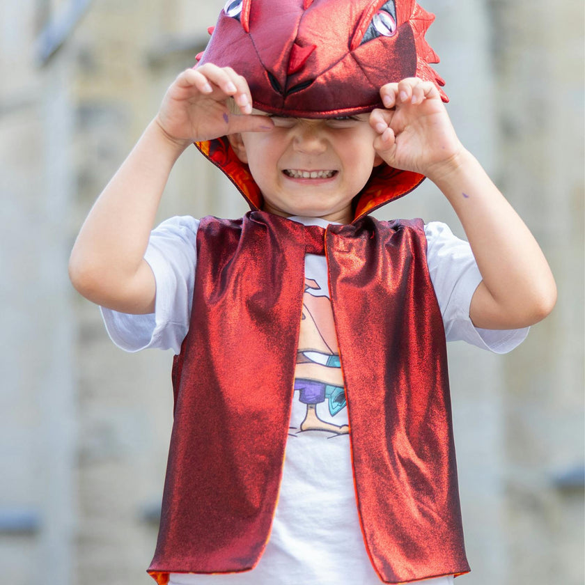 The All Day Everyday Dragon Vest