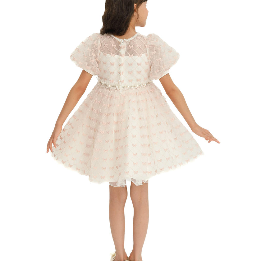 Ivory Pink Accented Tulle Fontana Dress
