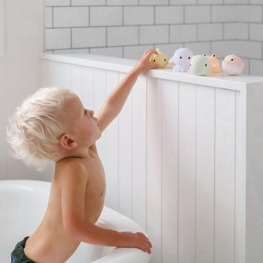 Splash Toys: Sea Animal - Ocean Friends
