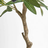 Artificial Olive Topiary Tree with Mediterranean Pot