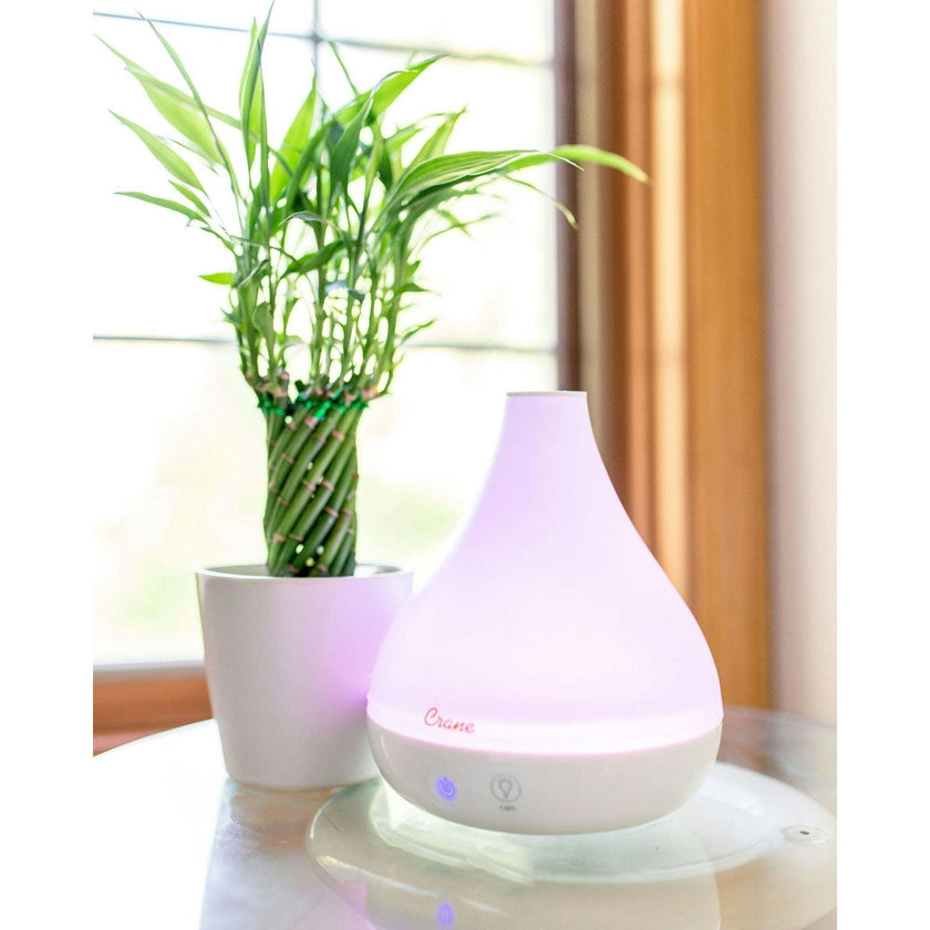 Personal Humidifier and Aroma Diffuser