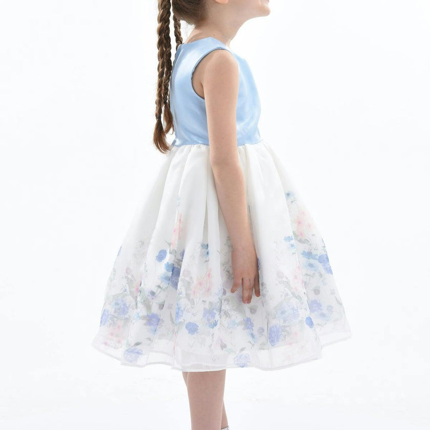 Blue Mabel Floral Garden Organza Dress