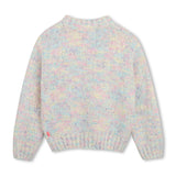 Multicolor Fancy Knit Sweater