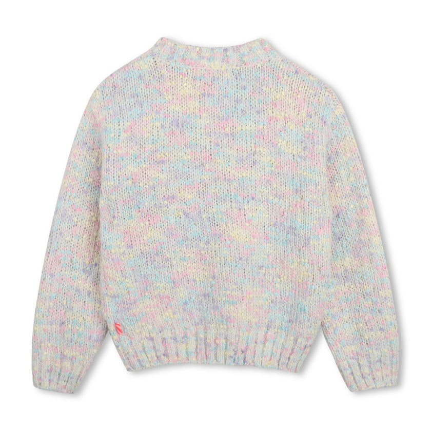 Multicolor Fancy Knit Sweater