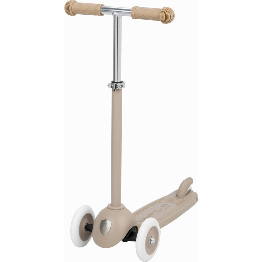 Eco Scooter