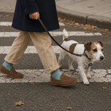 Suede Penny Loafer | Toffee Brown