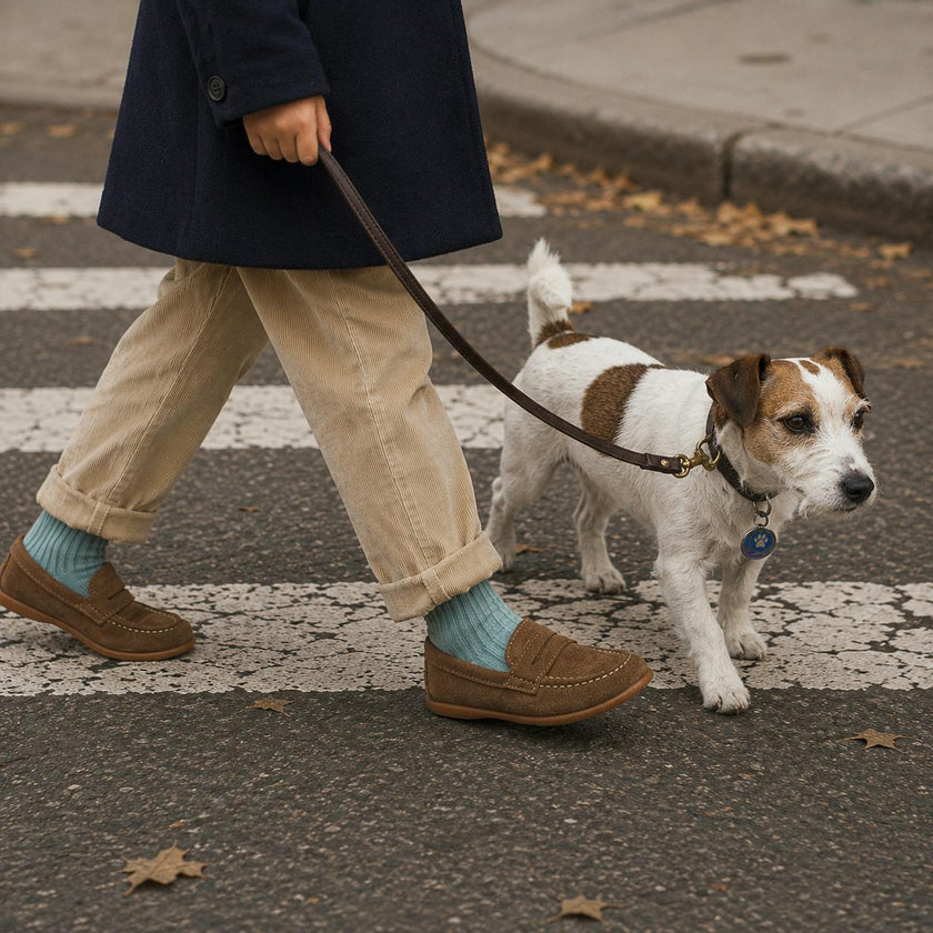 Suede Penny Loafer | Toffee Brown
