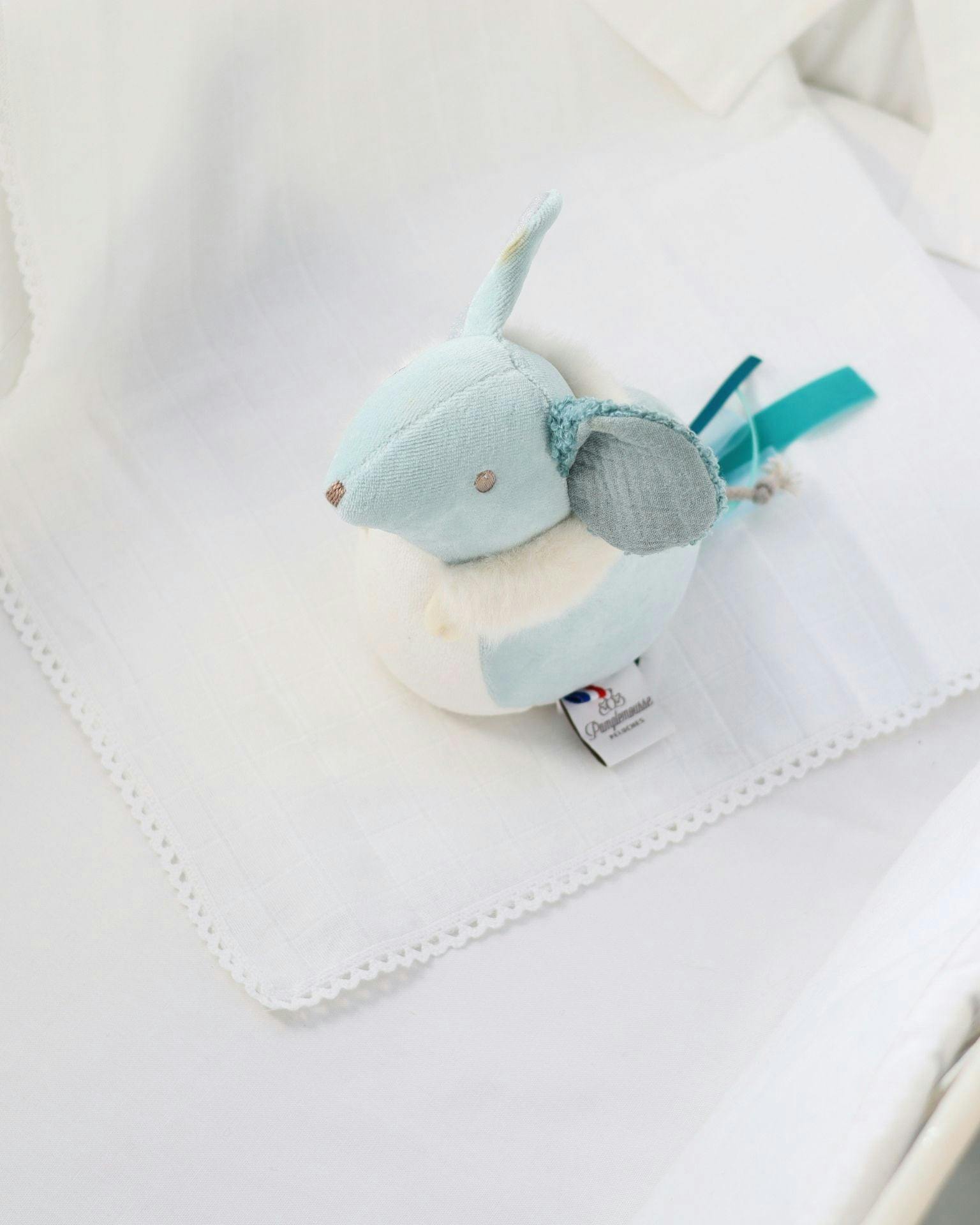 Sensory Mouse Blue