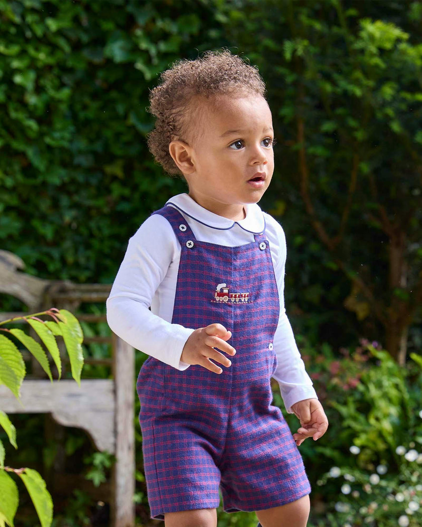 Baby Alfie Bib Shorts in Train