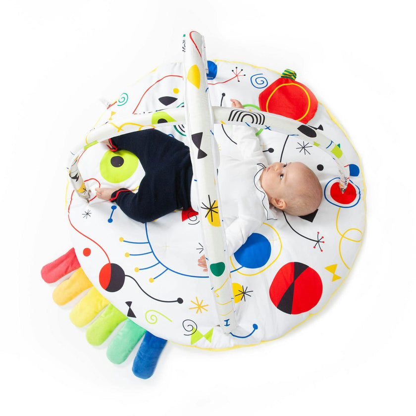 Baby Artist Play Gym