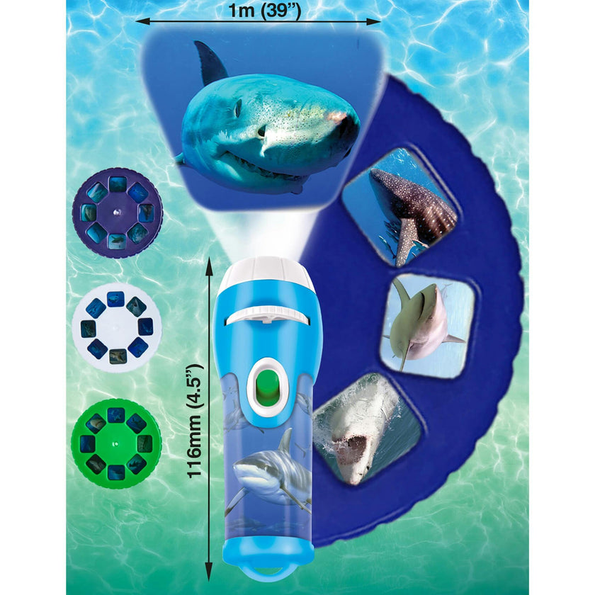 Brainstorm Toys: Torch & Projector