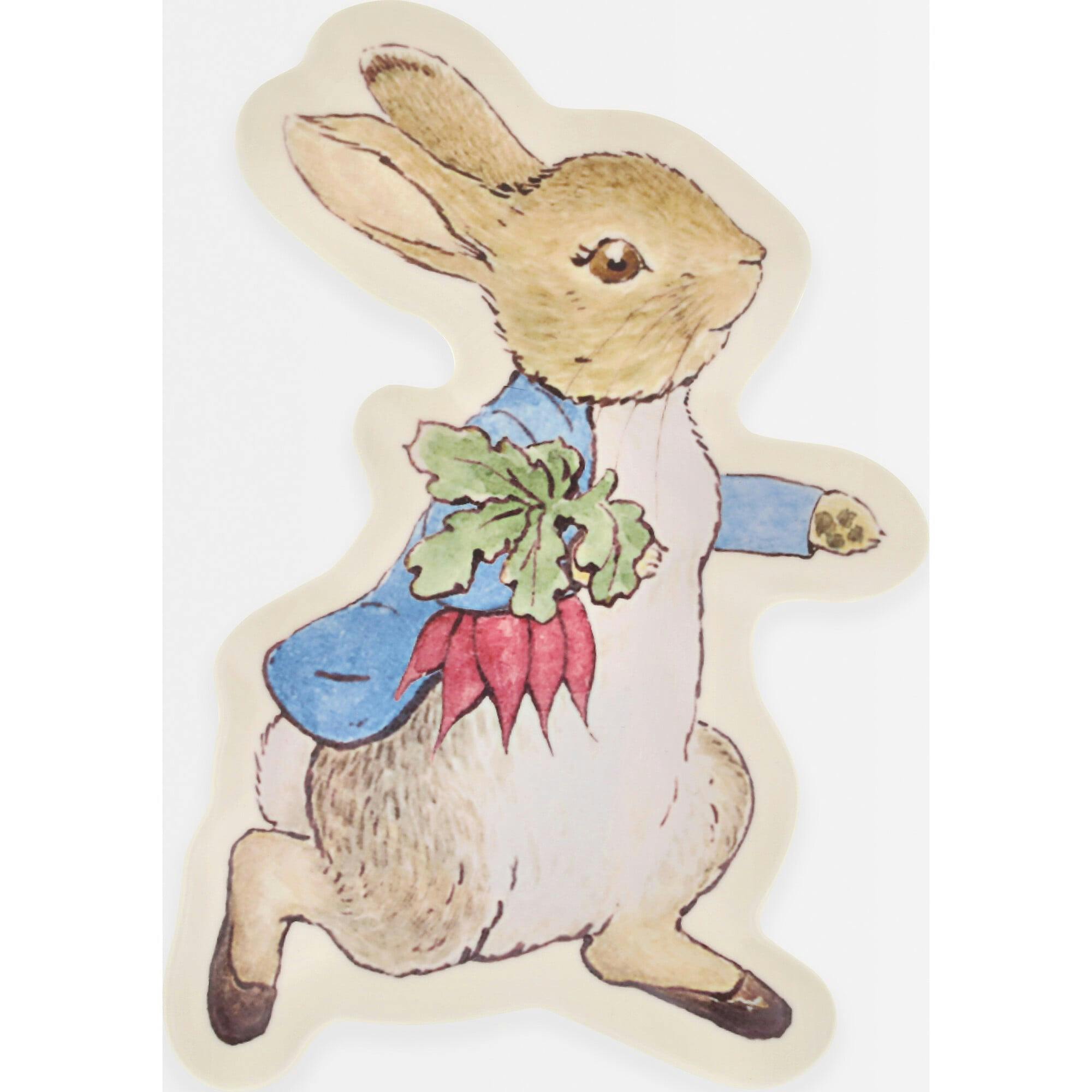 Peter Rabbit™ Reusable Plate