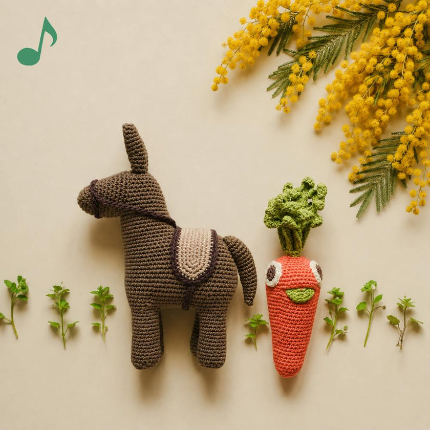 Donkey Gift Box 🥕👀🫏 100% organic cotton crochet rattle and music box