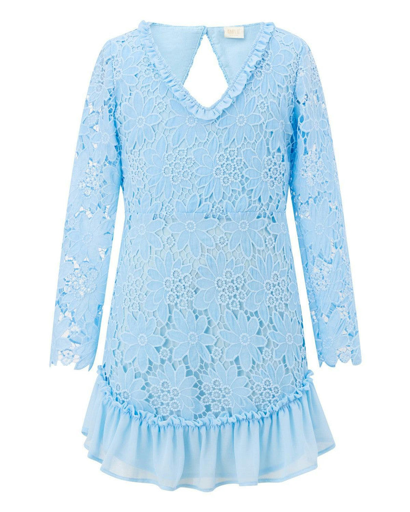 Sabina Embroidered Mini Dress