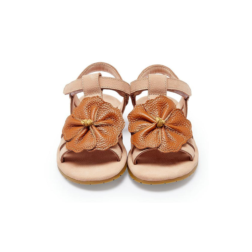 Iles Fields Sandals | Hibiscus | Coral Betting Leather