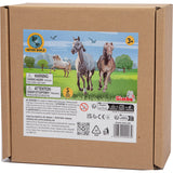 Set - 5pc