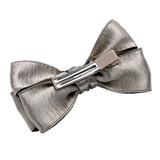 Multicolor Classic Satin Bow Hair Clip Set