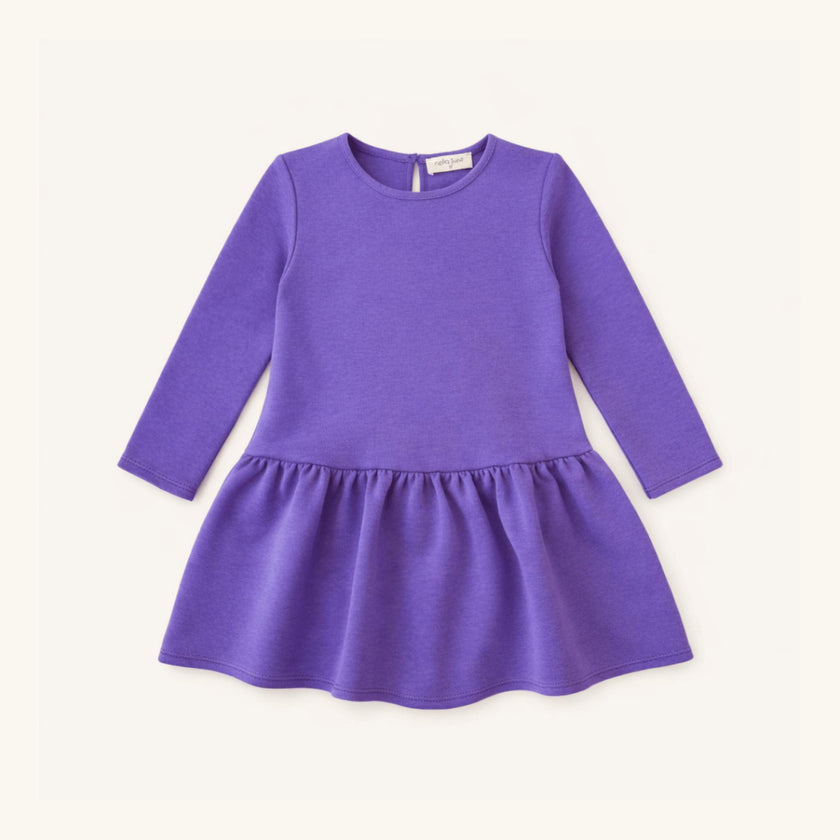 Long Sleeve Tennis Dress in Purple