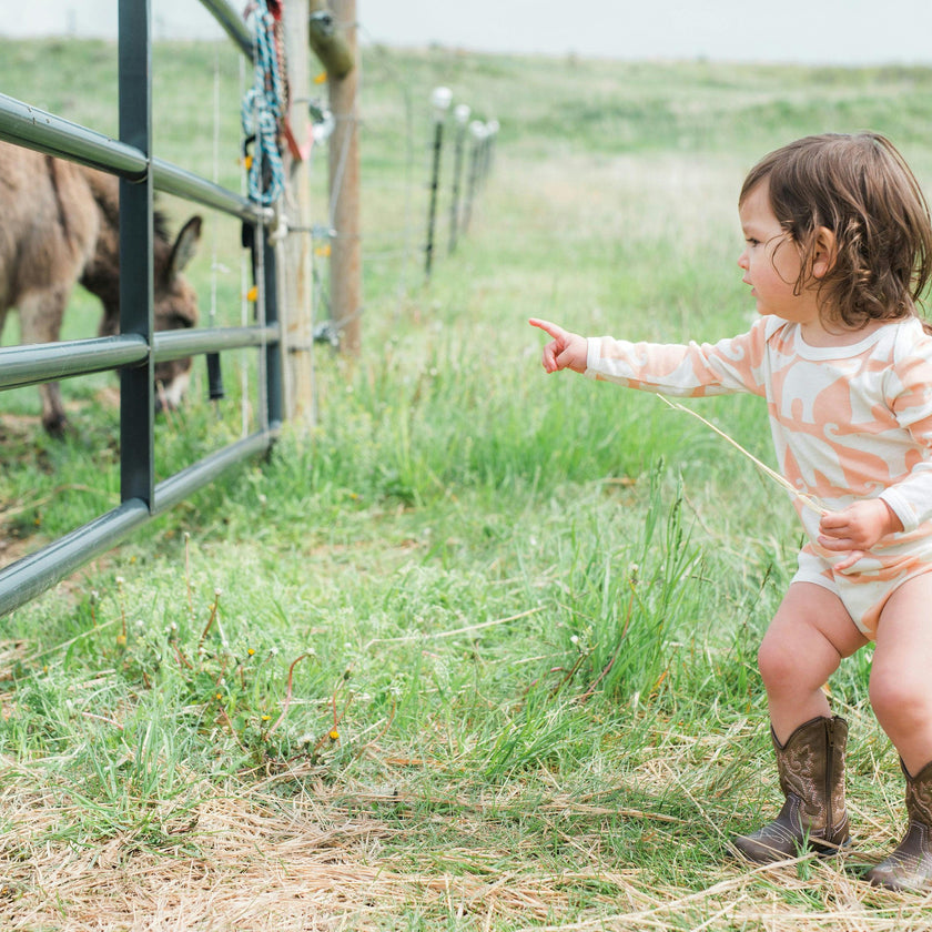 Rose Elephant Organic Long Sleeve One Piece