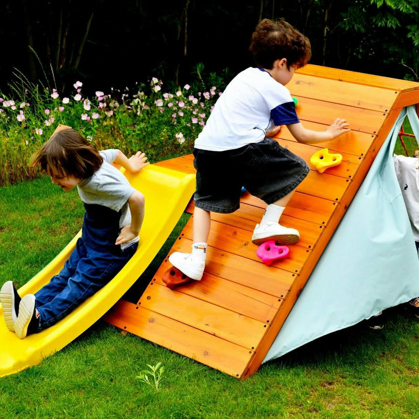 Palm - 5-In-1 Outdoor And Indoor Playground Playset