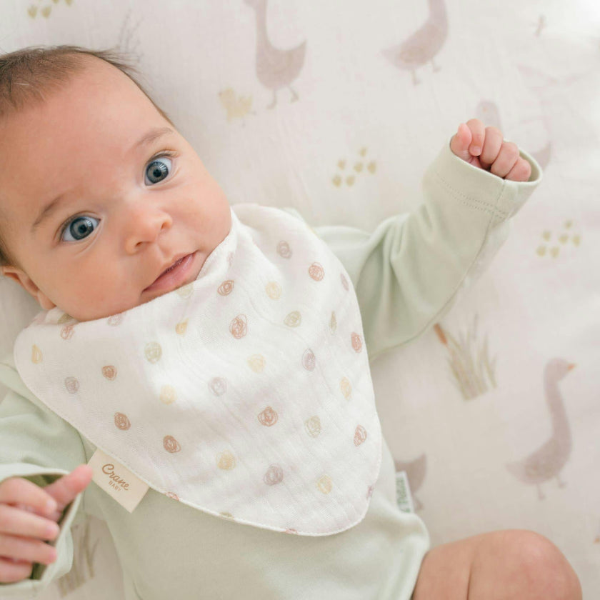 Charlie 3-pc. Farmhouse Goose Baby Bib Set