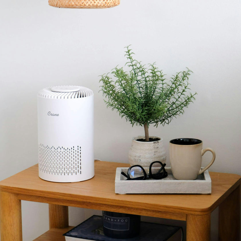 True HEPA Air Purifier