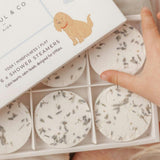Buddies Bedtime Bundle