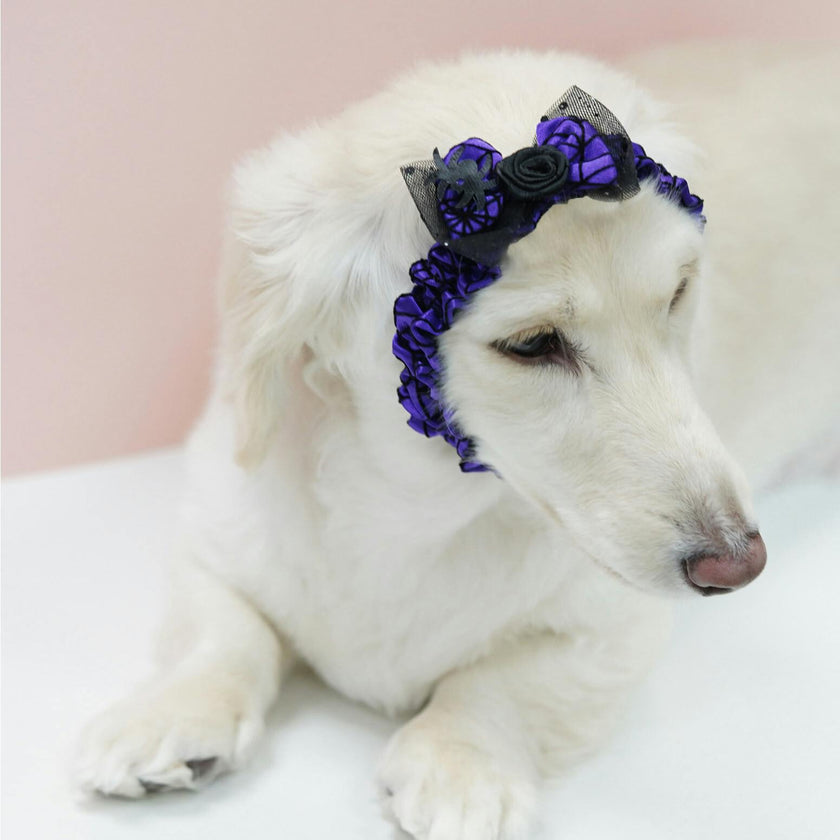SPIDER WEB ROSY HEADBAND, Purple