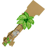 Sunny Safari Growth Chart