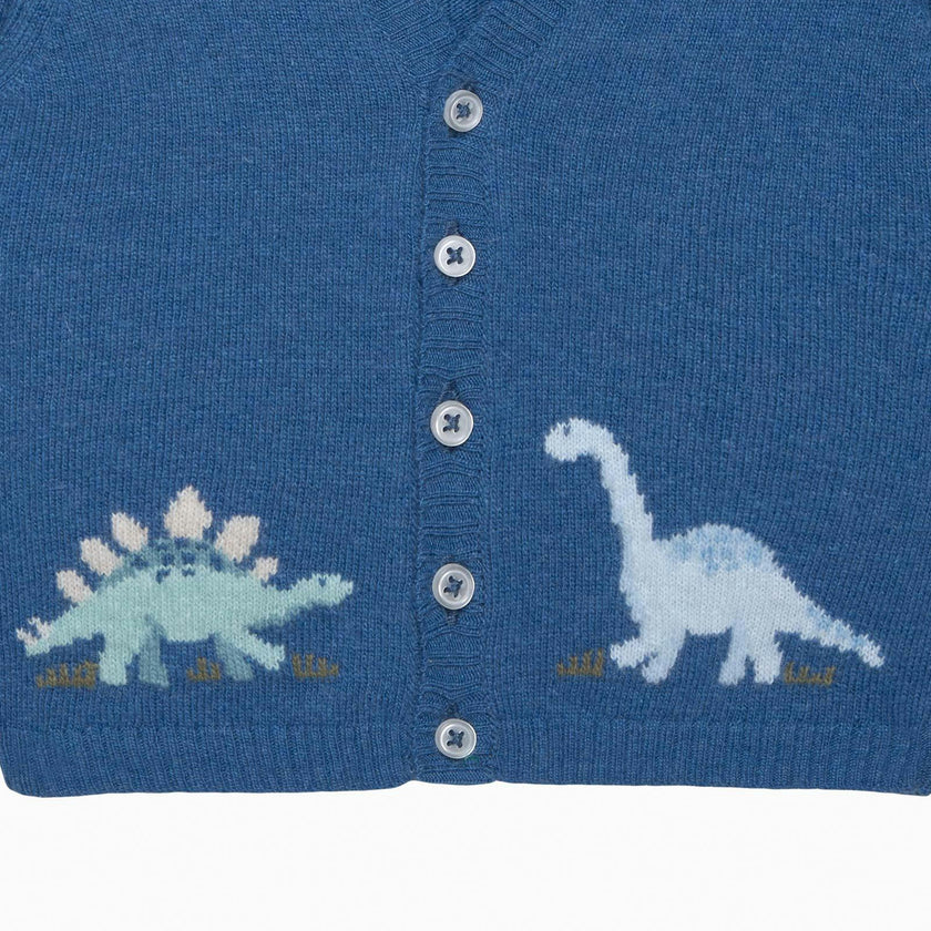 Baby Dinosaur & Friends Cardigan