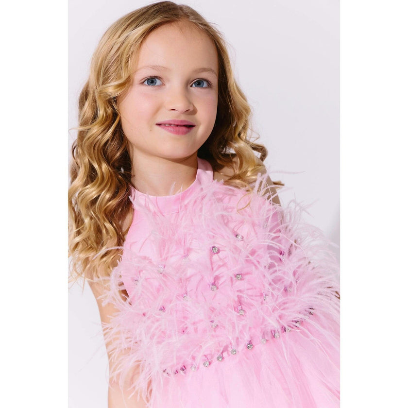 Pink Princess Feather Dress