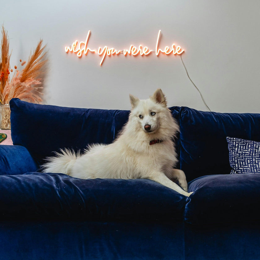 Wish you were here - LED neon sign