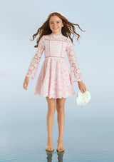 Primrose Embroidery Mini Dress