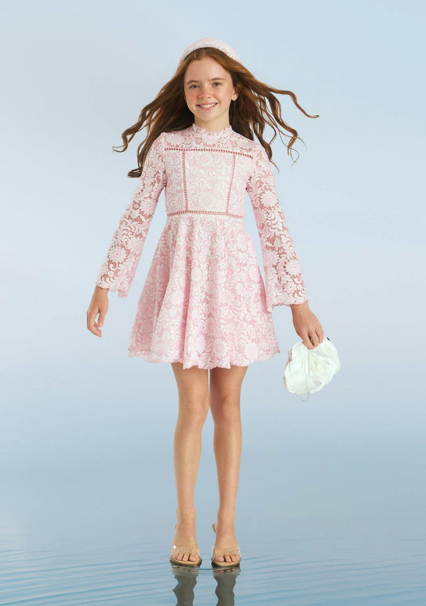 Primrose Embroidery Mini Dress