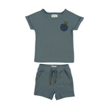 Boys Ribbed Berry Applique Tee & Short Set