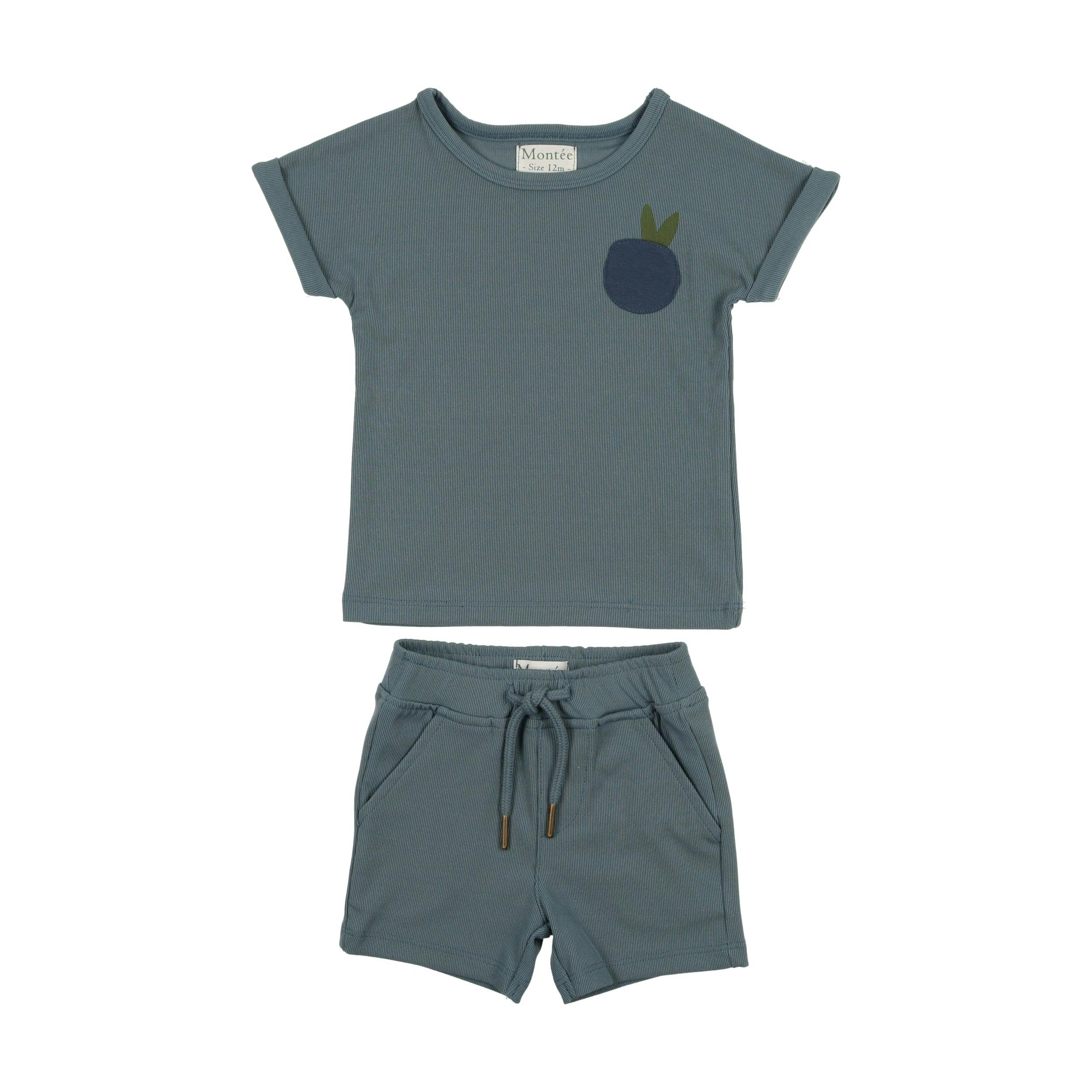 Boys Ribbed Berry Applique Tee & Short Set