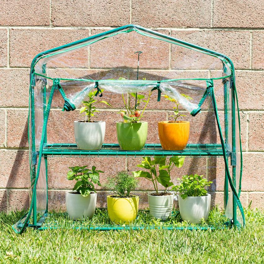 GreenThumb Classroom Greenhouse